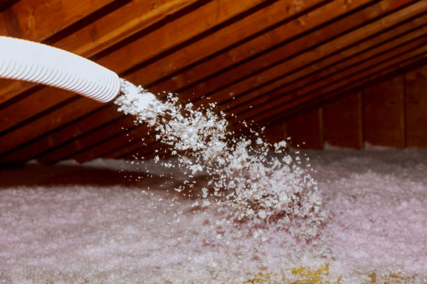 Best Commercial Insulation Contractor  in , MT