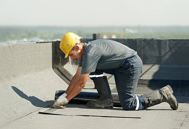 Best Home Insulation Services  in , MT