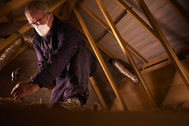Best Insulation for New Construction  in , MT